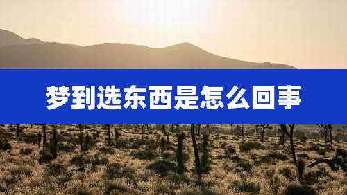 梦到选东西是怎么回事