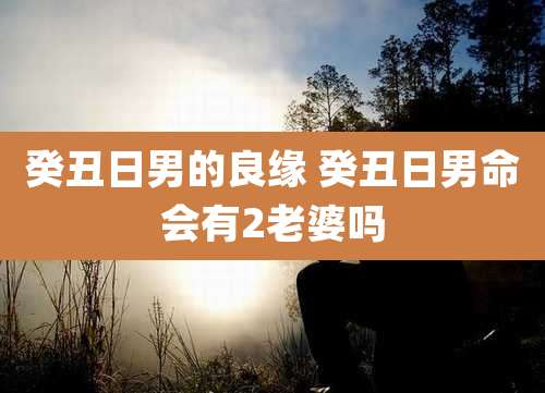 癸丑日男的良缘 癸丑日男命会有2老婆吗