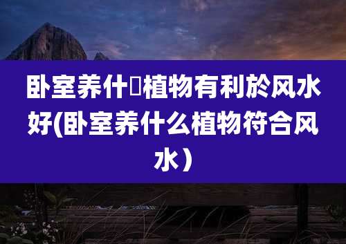 卧室养什麼植物有利於风水好(卧室养什么植物符合风水）