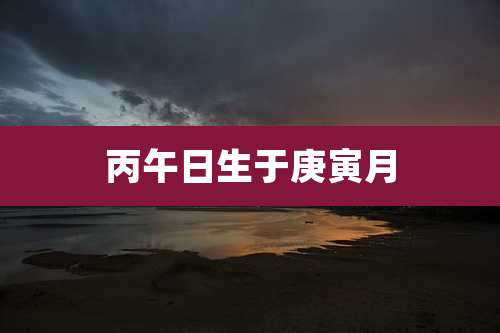 丙午日生于庚寅月