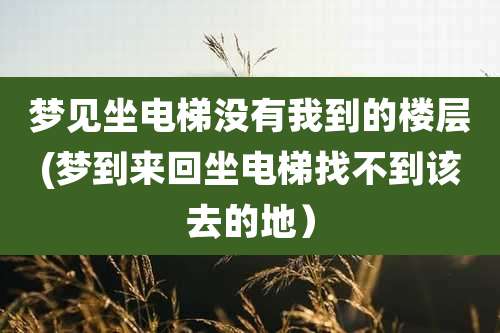 梦见坐电梯没有我到的楼层(梦到来回坐电梯找不到该去的地)