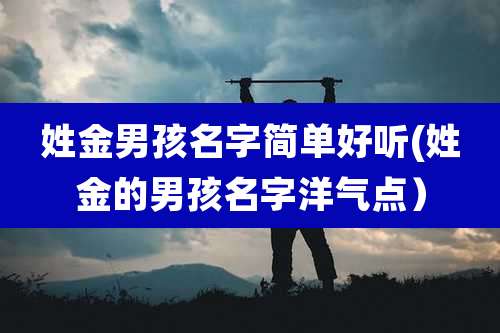 姓金男孩名字简单好听(姓金的男孩名字洋气点）