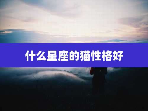 什么星座的猫性格好