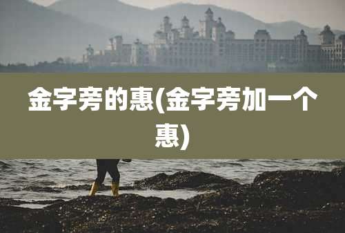 金字旁的惠(金字旁加一个惠)