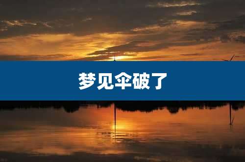 梦见伞破了