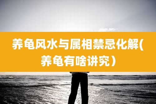 养龟风水与属相禁忌化解(养龟有啥讲究)