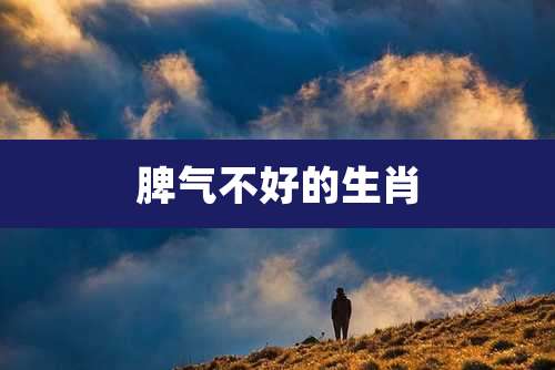 脾气不好的生肖