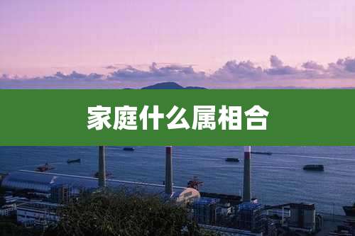 家庭什么属相合