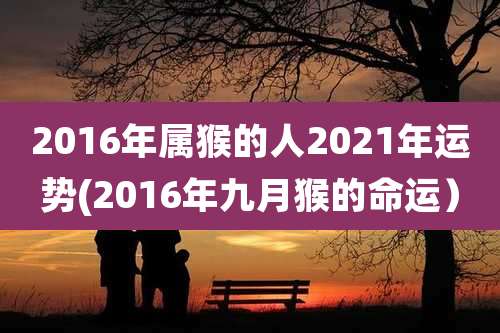 2016年属猴的人2021年运势(2016年九月猴的命运）