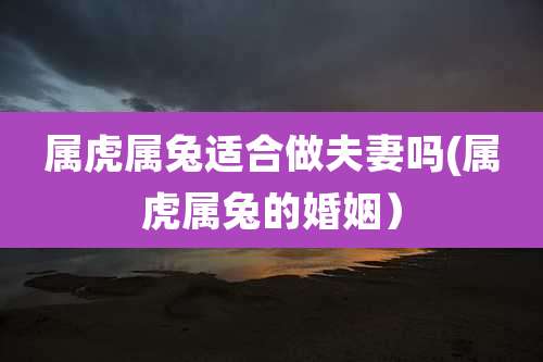 属虎属兔适合做夫妻吗(属虎属兔的婚姻)