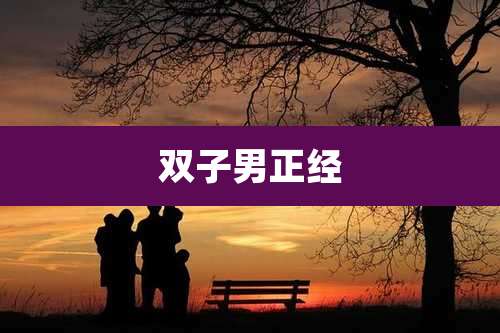 双子男正经