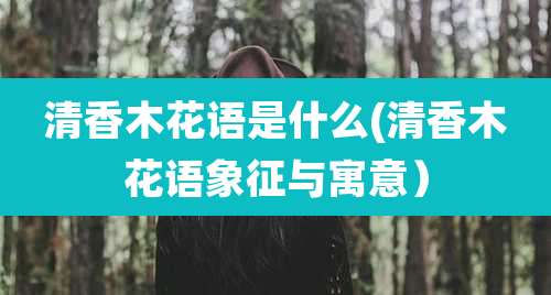 清香木花语是什么(清香木花语象征与寓意)