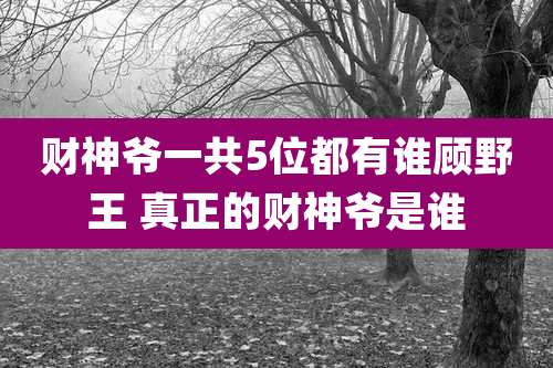 财神爷一共5位都有谁顾野王 真正的财神爷是谁