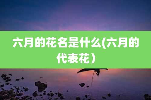 六月的花名是什么(六月的代表花）