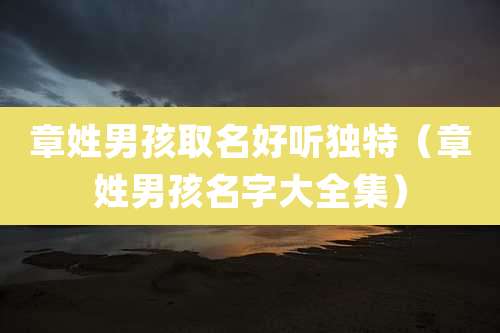 章姓男孩取名好听独特(章姓男孩名字大全集)