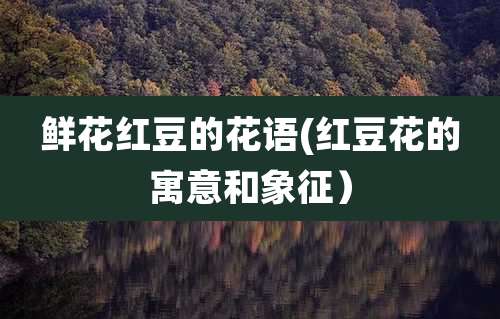 鲜花红豆的花语(红豆花的寓意和象征）