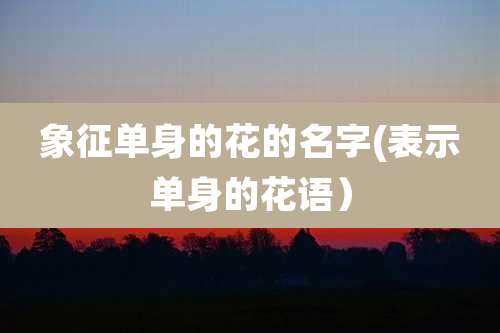 象征单身的花的名字(表示单身的花语）