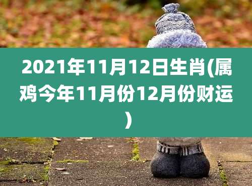 2021年11月12日生肖(属鸡今年11月份12月份财运)