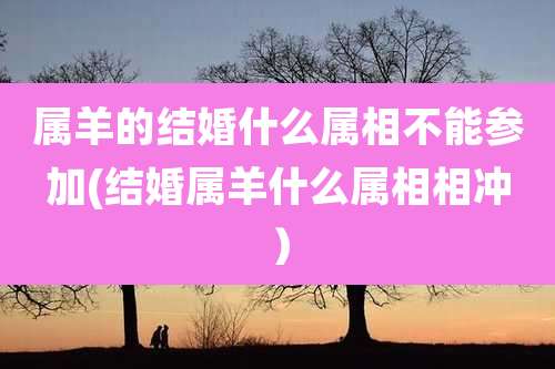 属羊的结婚什么属相不能参加(结婚属羊什么属相相冲)