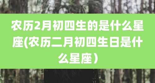 农历2月初四生的是什么星座(农历二月初四生日是什么星座）