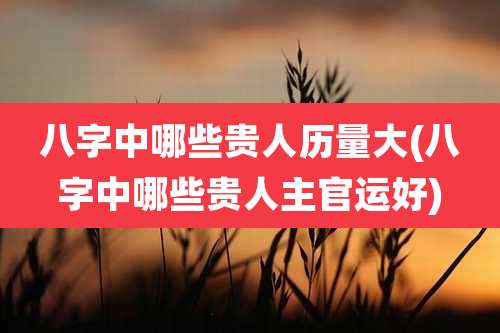 八字中哪些贵人历量大(八字中哪些贵人主官运好)