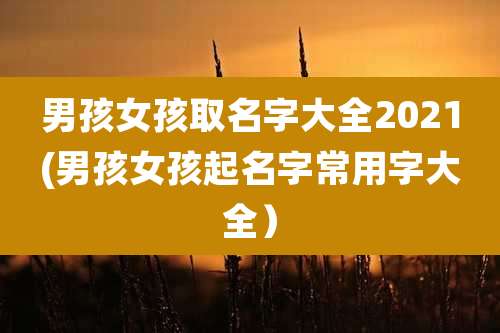 男孩女孩取名字大全2021(男孩女孩起名字常用字大全)
