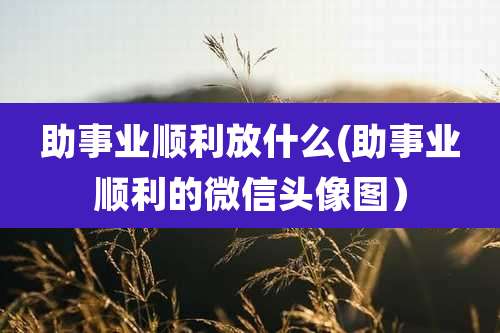 助事业顺利放什么(助事业顺利的微信头像图）