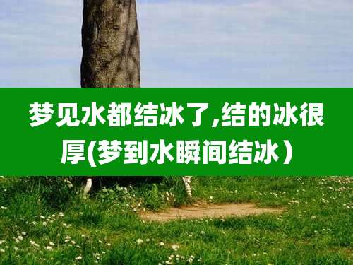 梦见水都结冰了,结的冰很厚(梦到水瞬间结冰)