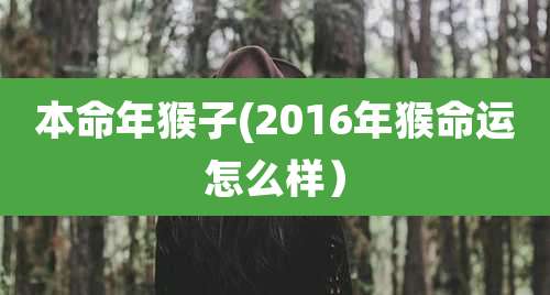 本命年猴子(2016年猴命运怎么样）