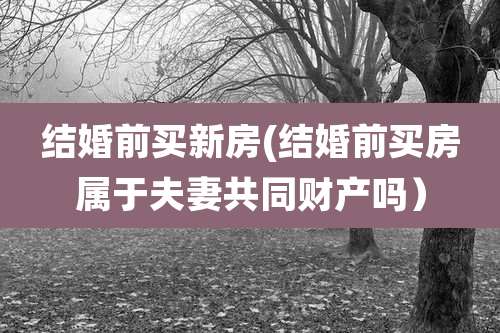 结婚前买新房(结婚前买房属于夫妻共同财产吗)