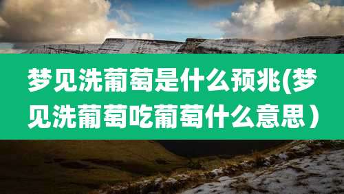 梦见洗葡萄是什么预兆(梦见洗葡萄吃葡萄什么意思）