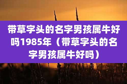 带草字头的名字男孩属牛好吗1985年（带草字头的名字男孩属牛好吗）