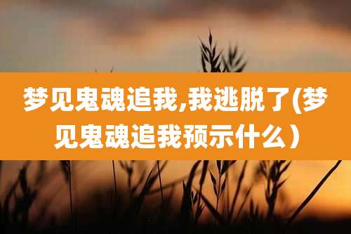 梦见鬼魂追我,我逃脱了(梦见鬼魂追我预示什么)