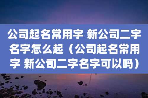 公司起名常用字 新公司二字名字怎么起（公司起名常用字 新公司二字名字可以吗）