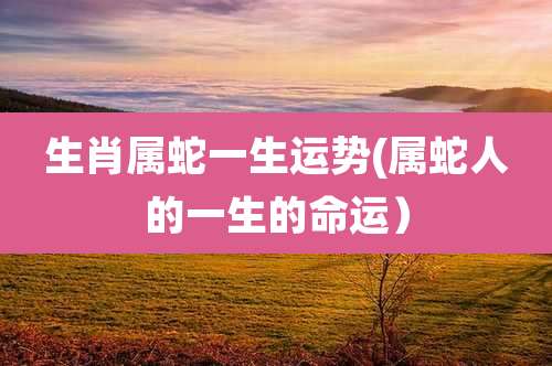 生肖属蛇一生运势(属蛇人的一生的命运)