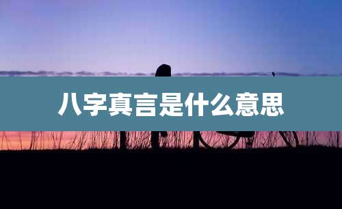八字真言是什么意思