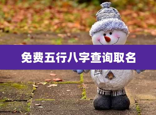 免费五行八字查询取名