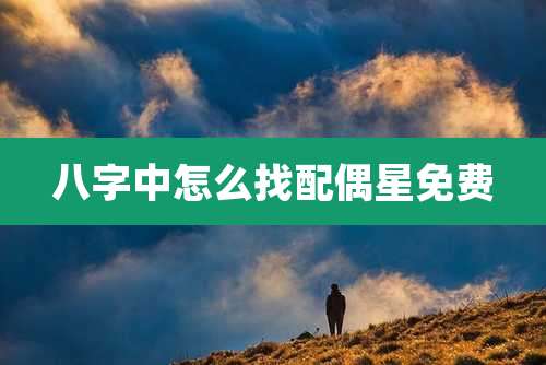 八字中怎么找配偶星免费