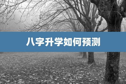 八字升学如何预测