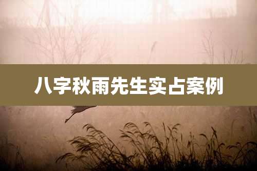 八字秋雨先生实占案例