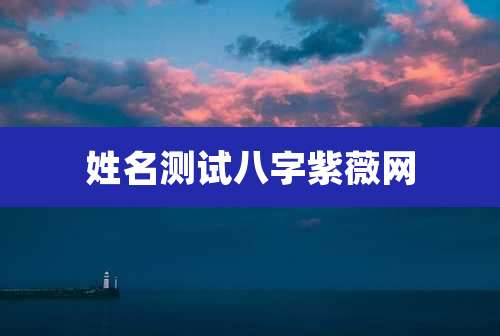 姓名测试八字紫薇网