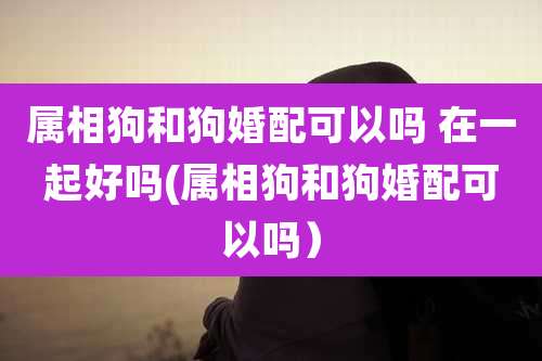属相狗和狗婚配可以吗 在一起好吗(属相狗和狗婚配可以吗）