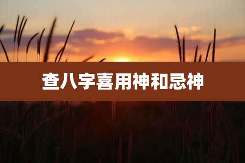 查八字喜用神和忌神