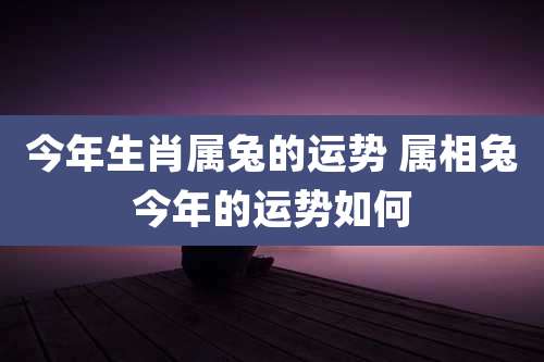 今年生肖属兔的运势 属相兔今年的运势如何