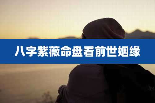 八字紫薇命盘看前世姻缘