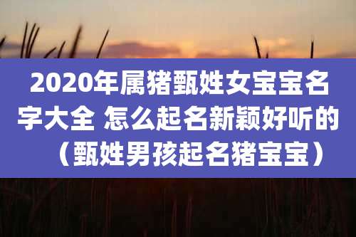2020年属猪甄姓女宝宝名字大全 怎么起名新颖好听的（甄姓男孩起名猪宝宝）