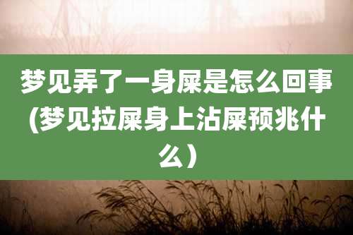 梦见弄了一身屎是怎么回事(梦见拉屎身上沾屎预兆什么）