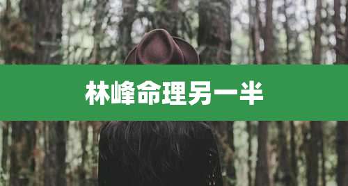 林峰命理另一半