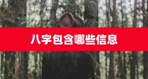 八字包含哪些信息