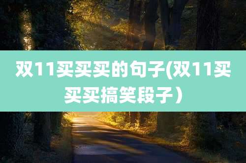 双11买买买的句子(双11买买买搞笑段子)